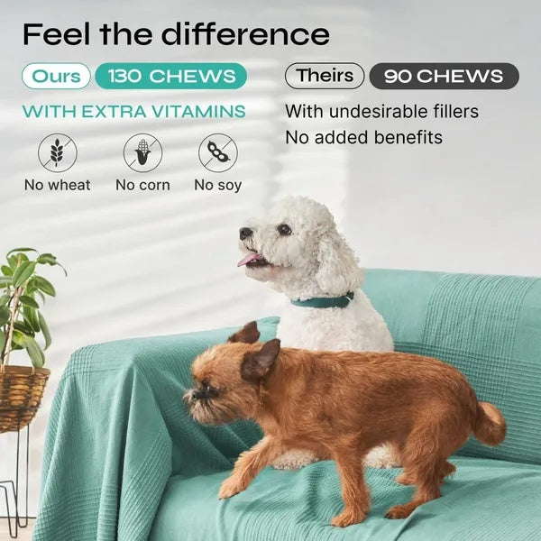 πΏπΆ Hemp Calming Chews for Dogs β Anxiety, Stress & Separation Relief | Duck Flavor πβ¨