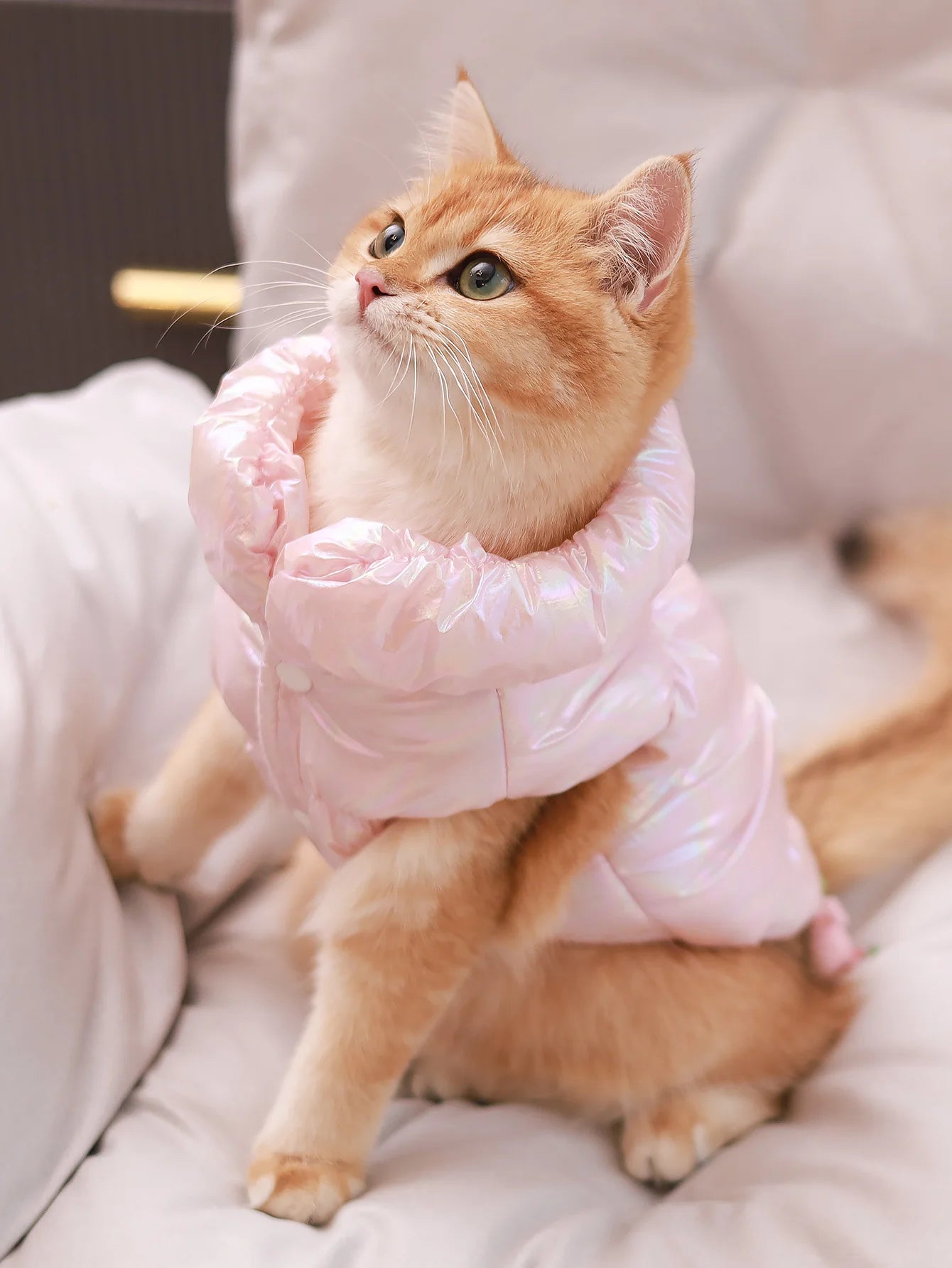 πΎπ Winter Dog Fur Vest & Princess Skirt Coat β Warm, Windproof & Water-Resistant Jacket for Small Dogs