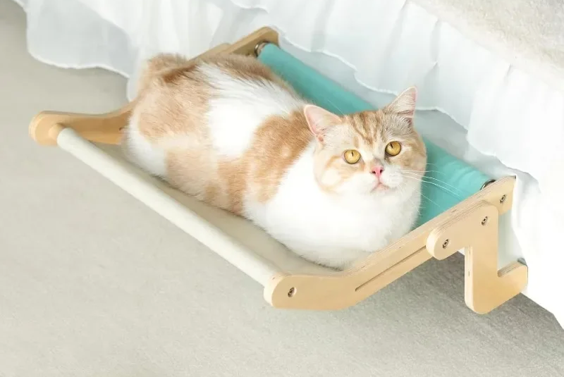🐱🌤️ Cat Window Hammock & Hanging Bed: The Coziest Elevated Retreat for Indoor Cats