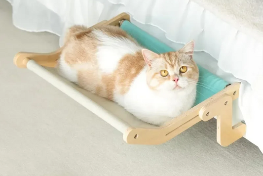 🐱🌤️ Cat Window Hammock & Hanging Bed: The Coziest Elevated Retreat for Indoor Cats