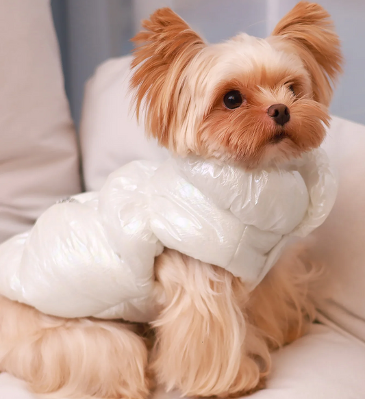 🐾👑 Winter Dog Fur Vest & Princess Skirt Coat – Warm, Stylish & Windproof Jacket for Small Dogs