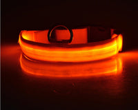 orange / XS / battery