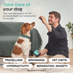🌿🐶 Hemp Calming Chews for Dogs – Anxiety, Stress & Separation Relief | Duck Flavor 🍗✨