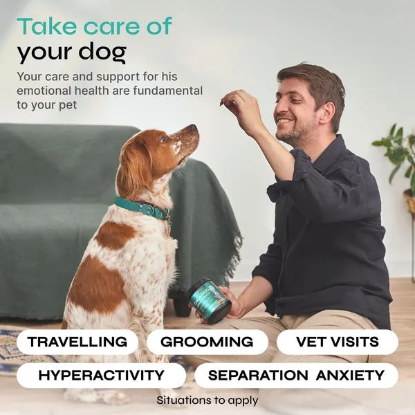 🌿🐶 Hemp Calming Chews for Dogs – Anxiety, Stress & Separation Relief | Duck Flavor 🍗✨