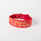 Squat Belt for Waist Support