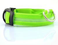 green / XS / chargable