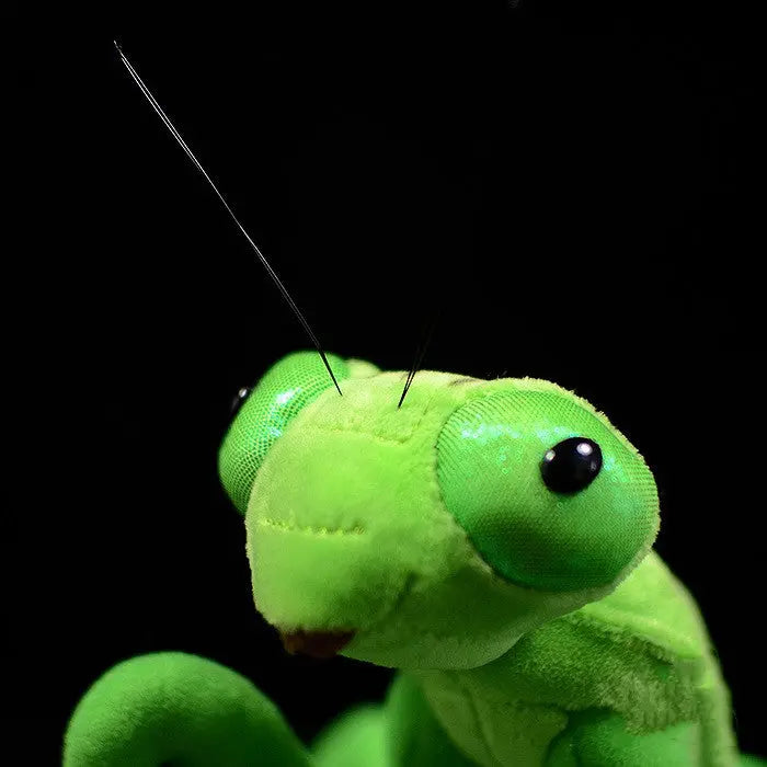Lifelike Mantis Plush Toys Mantis Stuffed Animals Toy For Kids G8Central.com