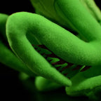 Lifelike Mantis Plush Toys Mantis Stuffed Animals Toy For Kids G8Central.com