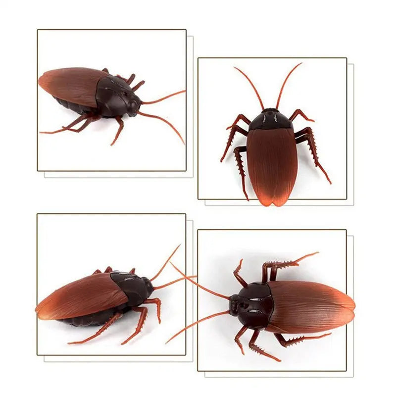 Infrared Remote Control Cockroach Spider Ant Prank Toy G8Central.com
