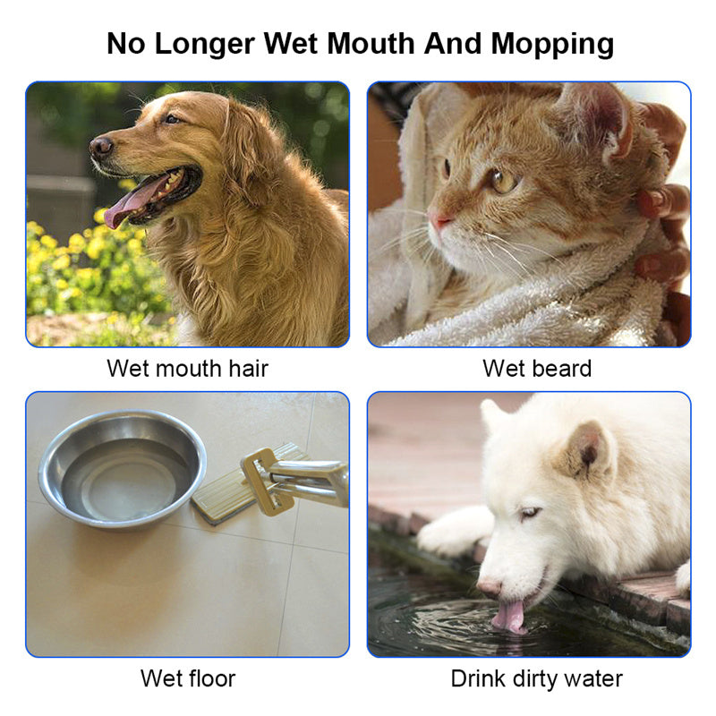 1.58 qt. Cat Dog Water Bowl Carried Floating Bowl Anti-Overflow Slow Water Feeder Dispenser Pet Fountain ABS&PP Dog Supplies