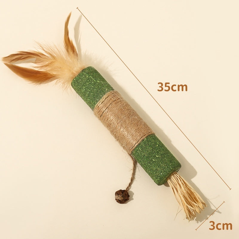 Polygonum Molar Rod Cat Teaser – Self-Play Dental Chew Stick for Cats 😺✨
