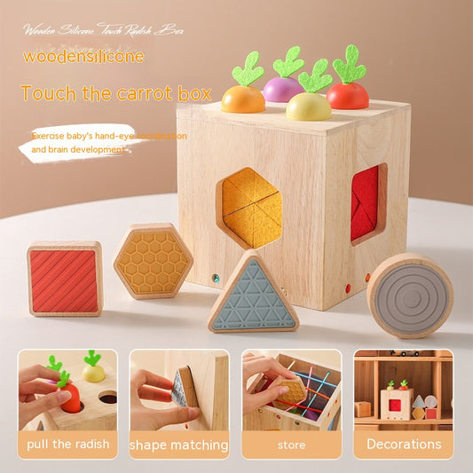 Wooden Geometric Cast Shape Early Childhood Education For Baby Educational Toys