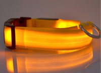 yellow / XS / battery