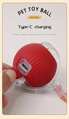 Interactive Cat Toy Ball with Automatic Movement &amp; Obstacle Avoidance