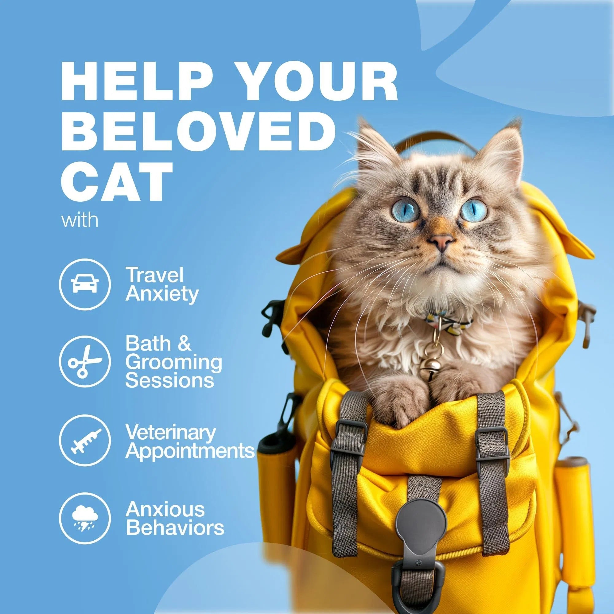 😺 Cat Calming Treats – Hemp, Melatonin & Probiotics for Anxiety & Stress Relief ✨