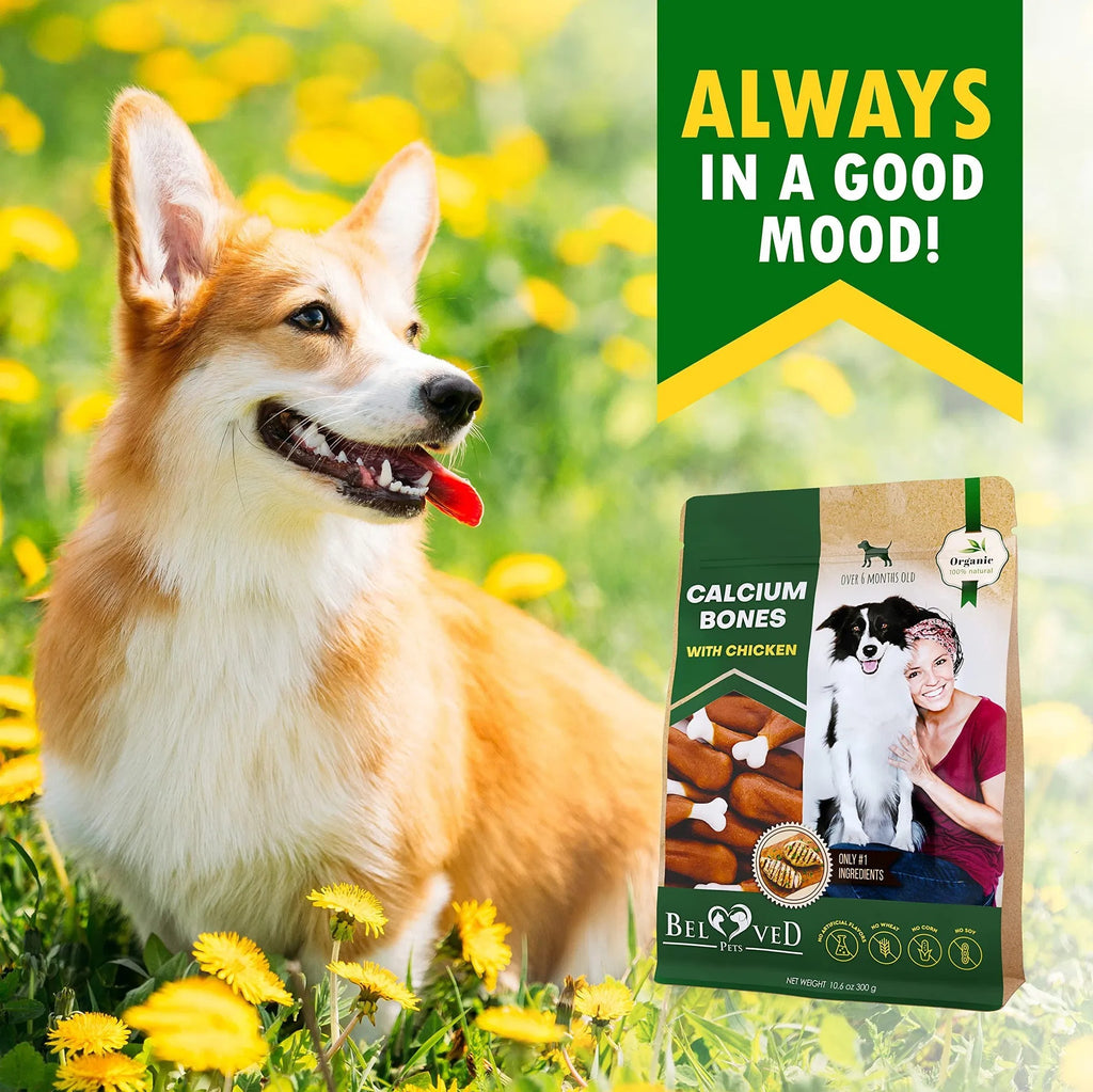 Dog Calcium Bones Wrapped in Chicken – Rawhide-Free Training Treats | Healthy Grain-Free Chews ✨