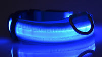 blue / XS / battery