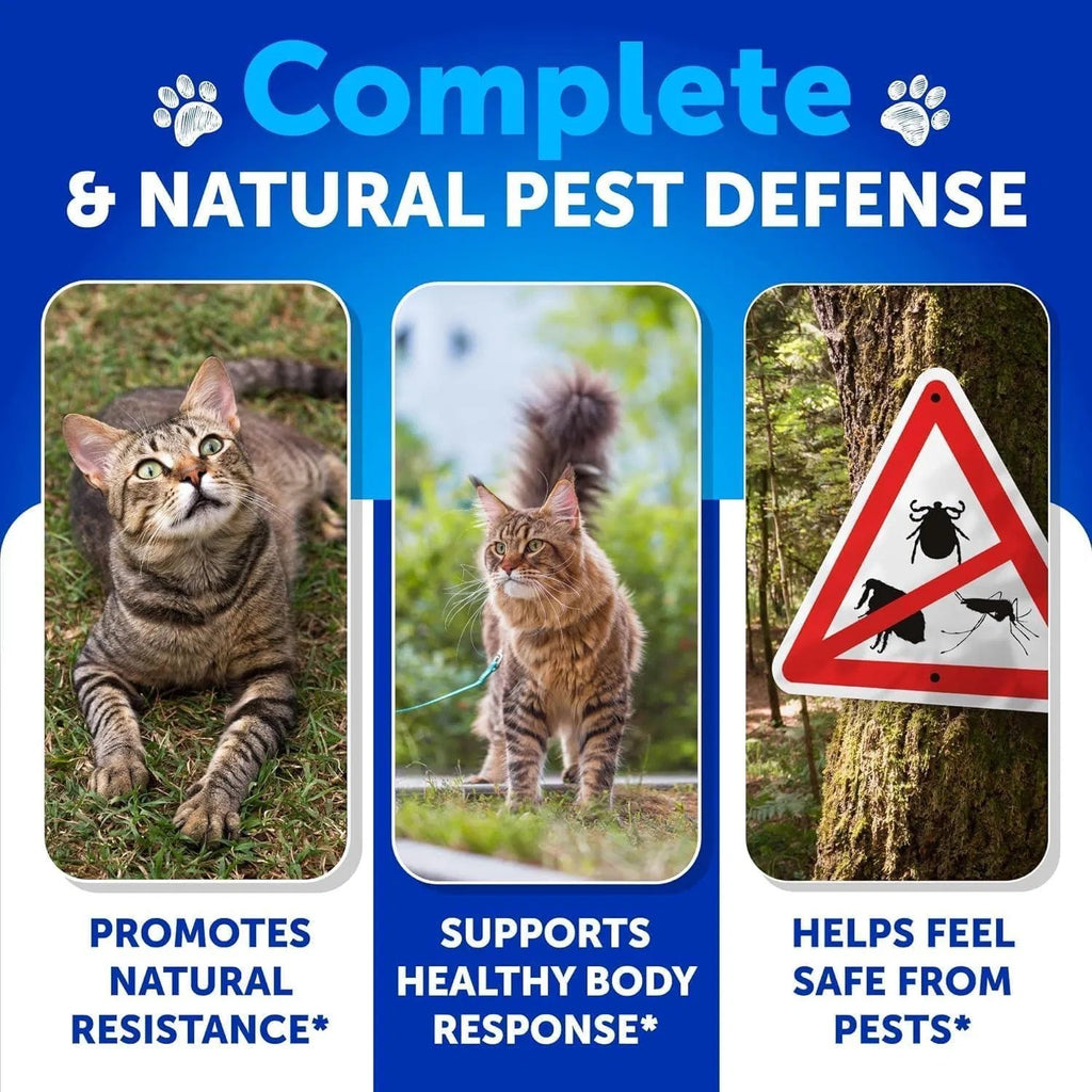 Natural Flea & Tick Chews for Cats – Daily Protection + Skin, Coat & Dental Support | 135 Soft Chews ✨