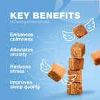 😺 Cat Calming Treats – Hemp, Melatonin & Probiotics for Anxiety & Stress Relief ✨