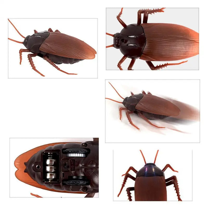 Infrared Remote Control Cockroach Spider Ant Prank Toy G8Central.com