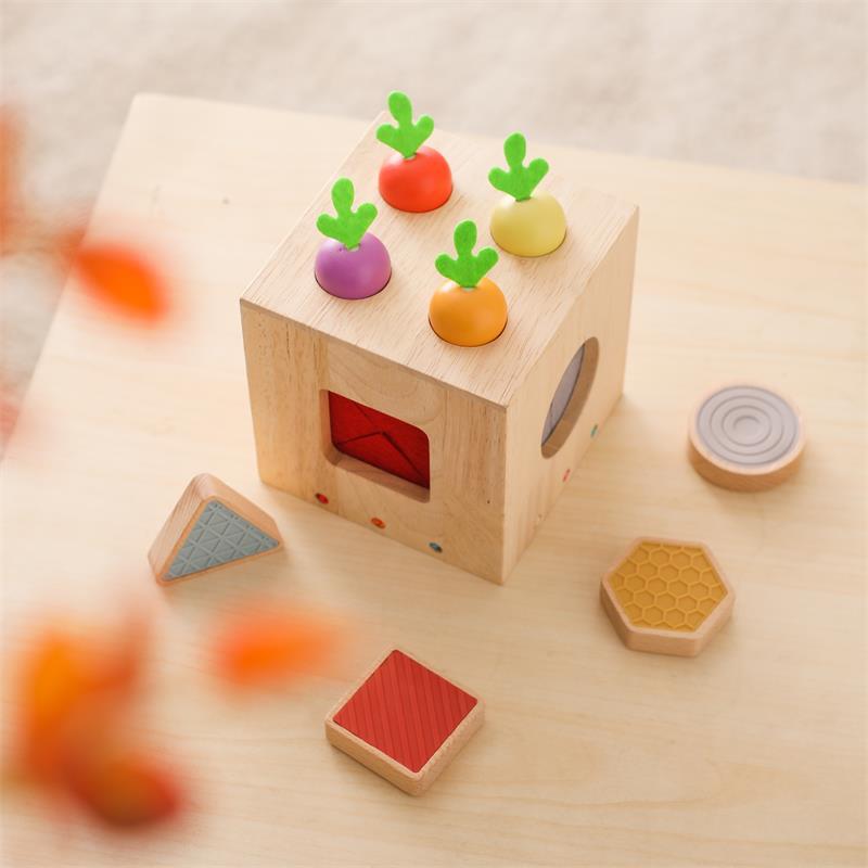 Wooden Geometric Cast Shape Early Childhood Education For Baby Educational Toys