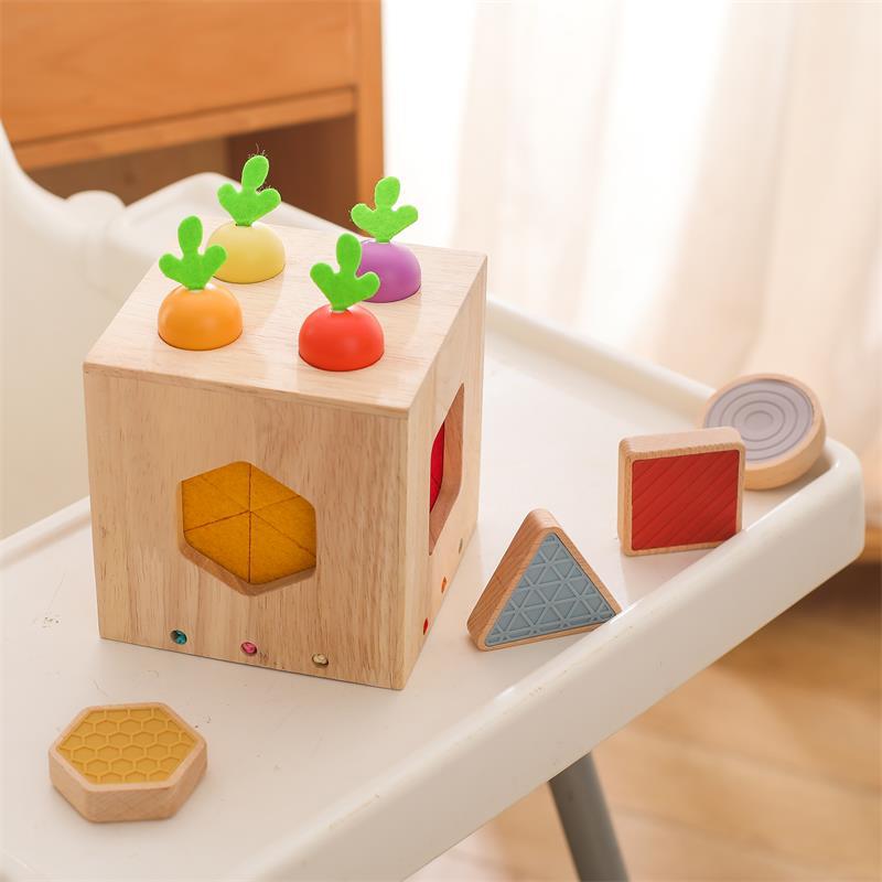 Wooden Geometric Cast Shape Early Childhood Education For Baby Educational Toys