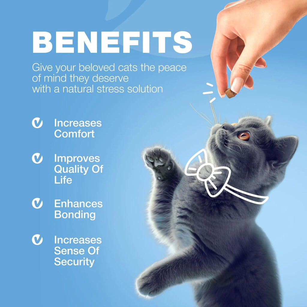 😺 Cat Calming Treats – Hemp, Melatonin & Probiotics for Anxiety & Stress Relief ✨