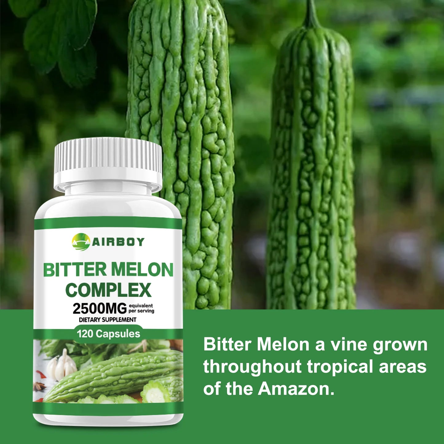 Bitter Melon Complex Capsules – Metabolic & Digestive Support (120 Count)