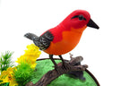Device Toys Singing & Chirping Bird In Cage  with Realistic Sounds & Movements G8Central