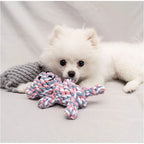 🪢🐶 Bite Resistant Dog Rope Knot Ball – Dental Chew Toy