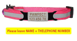 🐱✨ Reflective Adjustable Cat Collar – Personalized ID Free Engraving