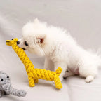 🪢🐶 Bite Resistant Dog Rope Knot Ball – Dental Chew Toy