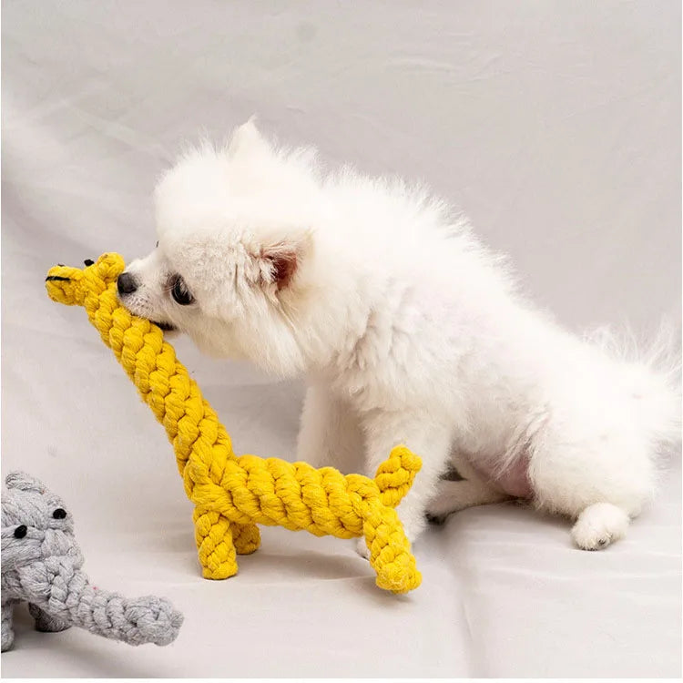 🪢🐶 Bite Resistant Dog Rope Knot Ball – Dental Chew Toy