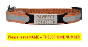 🐱✨ Reflective Adjustable Cat Collar – Personalized ID Free Engraving
