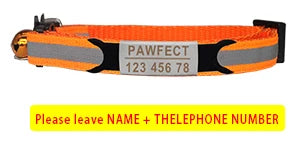 🐱✨ Reflective Adjustable Cat Collar – Personalized ID Free Engraving