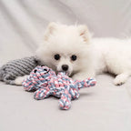 🪢🐶 Bite Resistant Dog Rope Knot Ball – Dental Chew Toy