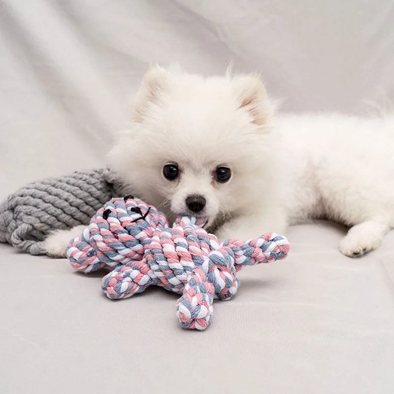 🪢🐶 Bite Resistant Dog Rope Knot Ball – Dental Chew Toy