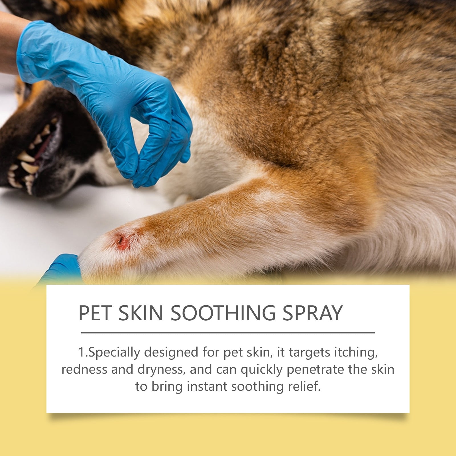 Pet Skin Care Spray – Flea & Lice Relief for Dogs & Cats