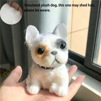 Pirate Bulldog