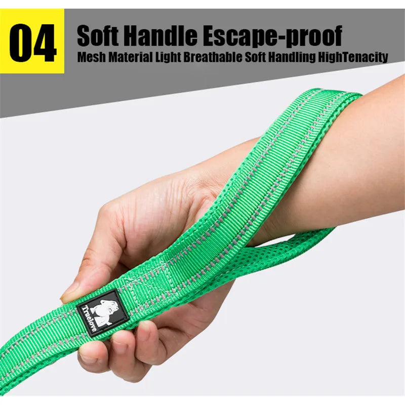 🐾🌈 Truelove Reflective Pet Leash – Soft Padded Nylon