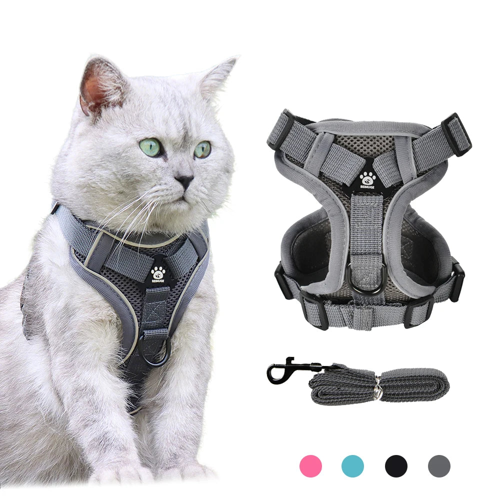 🐾🎽 Tactical Reflective Cat & Small Dog Harness with Leash