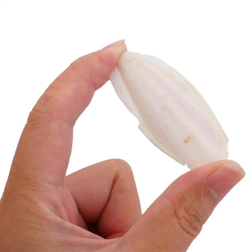 🦜🔔 Parrot Calcium Cuttlefish Bone Perch with Hanging Bell