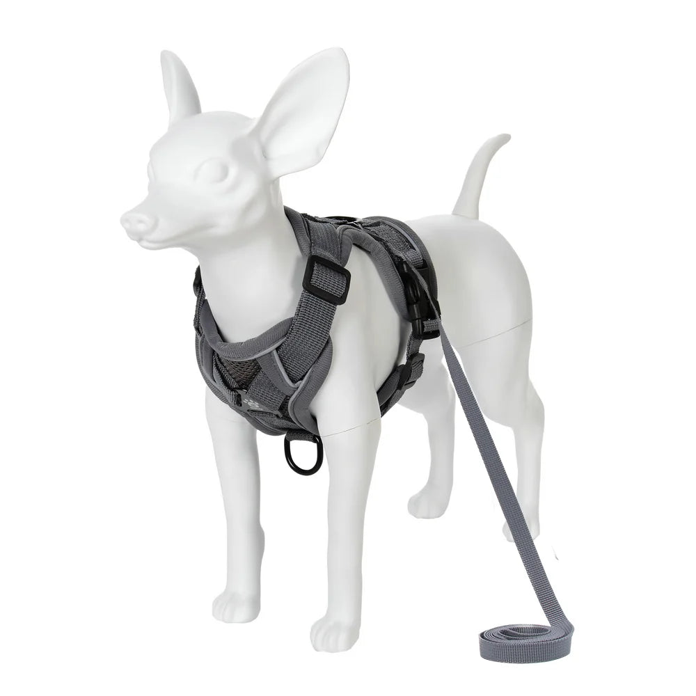 🐾🎽 Breathable Reflective Cat & Small Dog Harness with Leash