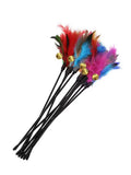 🐱🎣 Cat Interactive Feather Wand Toy Set (5PCS) – Colorful Chicken Feather Teaser with Bell | Portable Cat Stick Toys