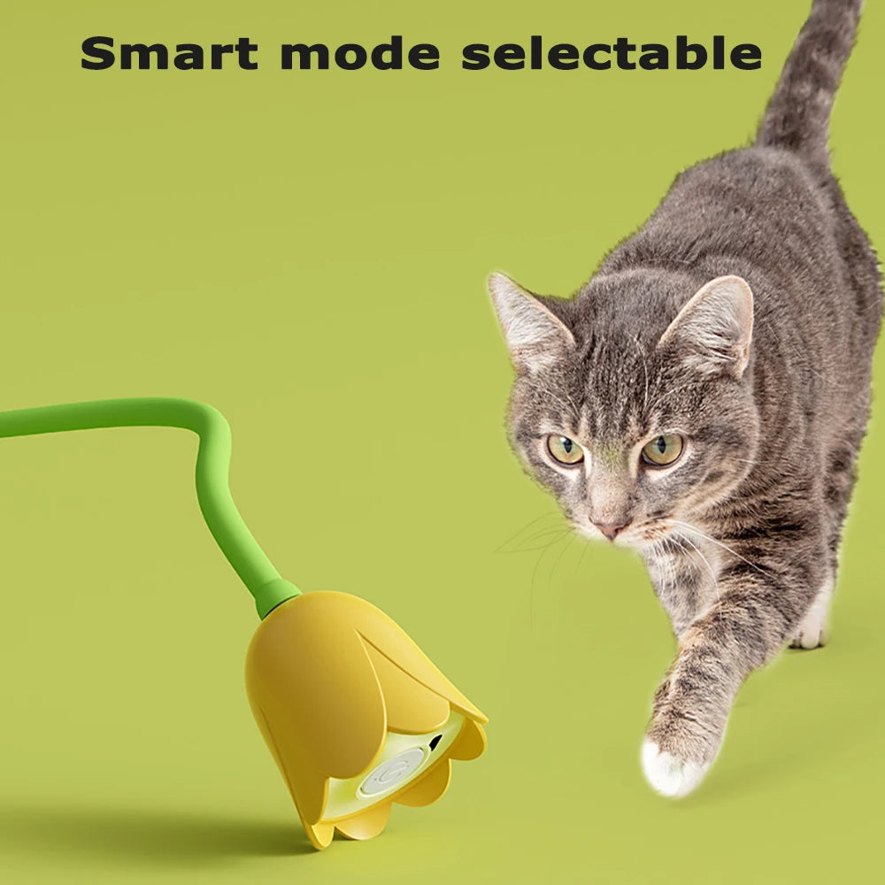 USB Electric Interactive Cat Rolling Ball Toy – Automatic Touch-Activated Silicone Teaser