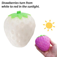 Strawberry ( Large )