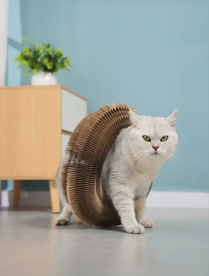 🐱🌀 Foldable Magic Organ Cat Scratching Board & Bed