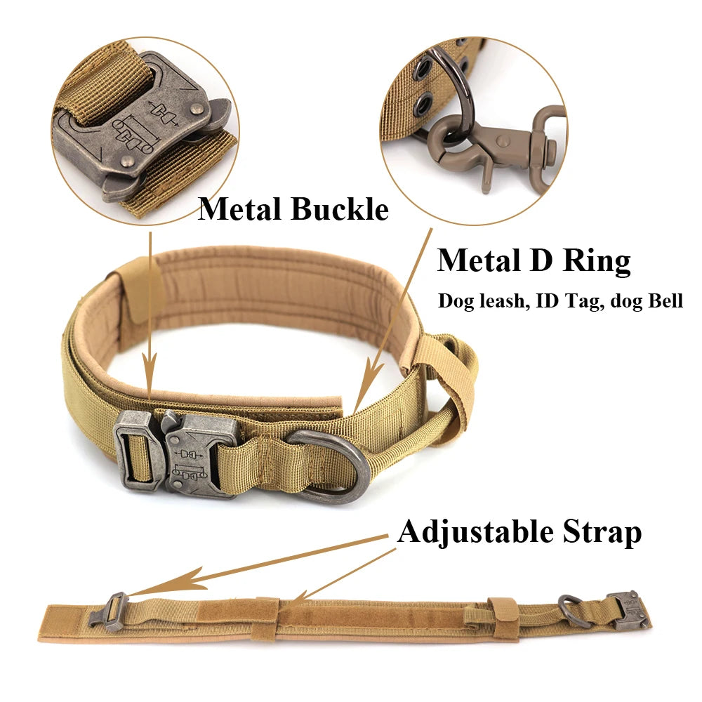 Dog collar with metal buckle, D ring, and adjustable strap on a white background
