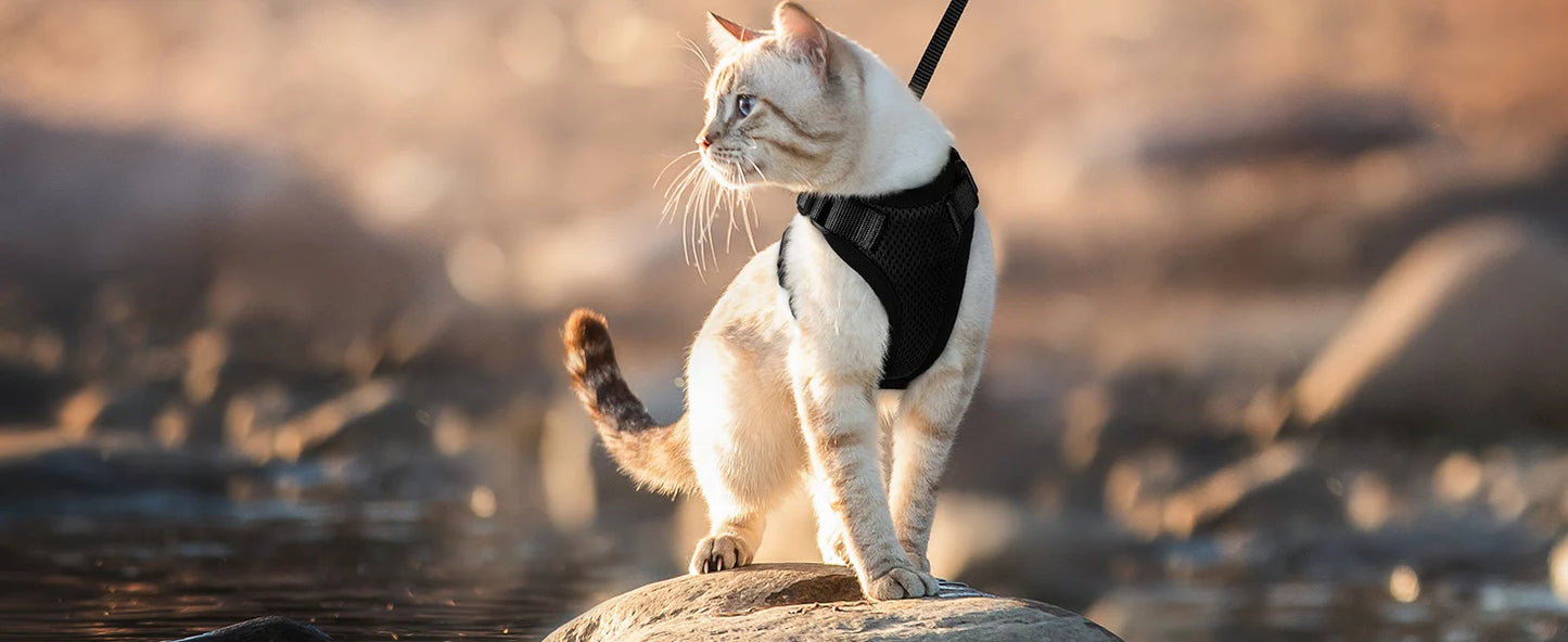 Cat Harness and Leash for Walking Escape-Proof Soft Adjustable Vest Harnesses for Cats Easy Control