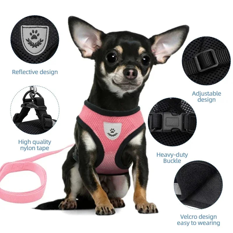 🐾🎽 Adjustable Mesh Cat & Small Dog Harness Vest with Leash